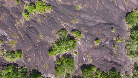Inselberg-ecosystem-in-Guiana-rain-forest.-Aerial-vertical-view.